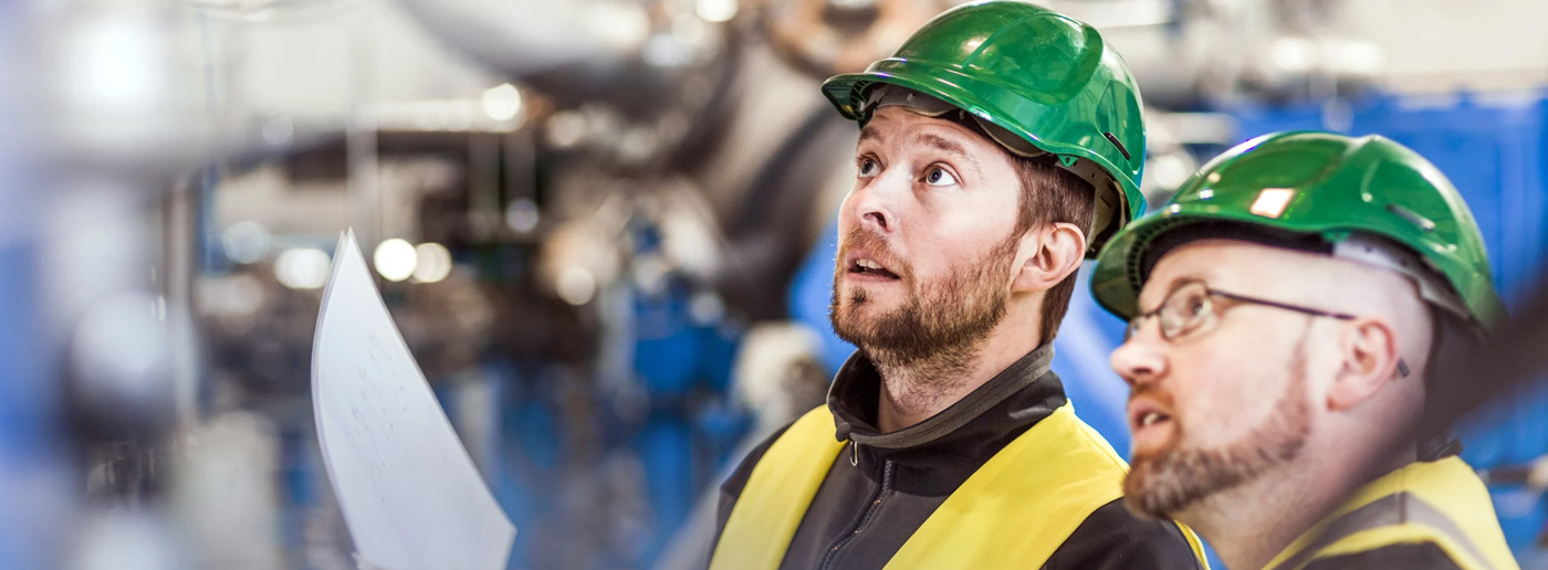 building inspection services